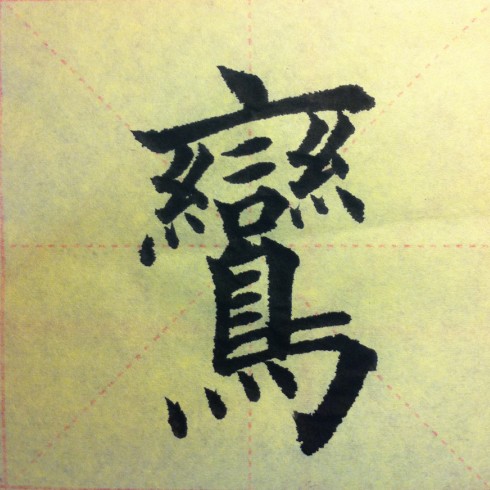 王磊相册5