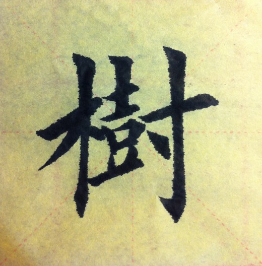 王磊相册1
