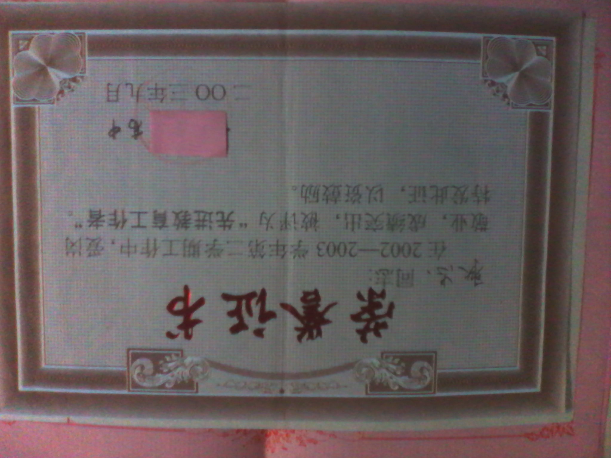 双招英语相册2
