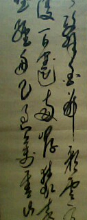 刘老师相册2
