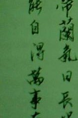 吴惟相册3