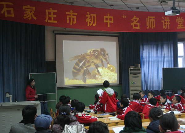 武彦枫相册0