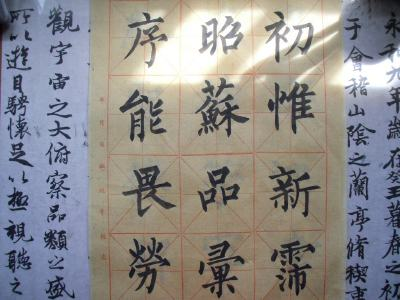 无去无来相册17