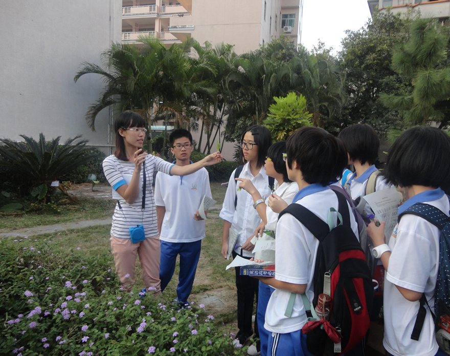 何老师相册1