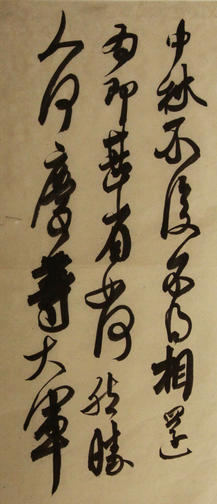 毛同学相册3
