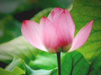 詹老师相册0