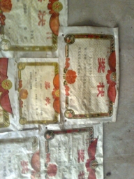 孙老师相册3