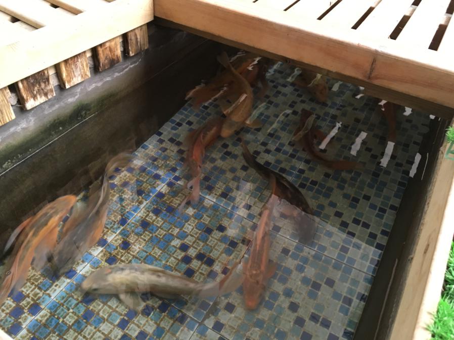 厚德教育相册2