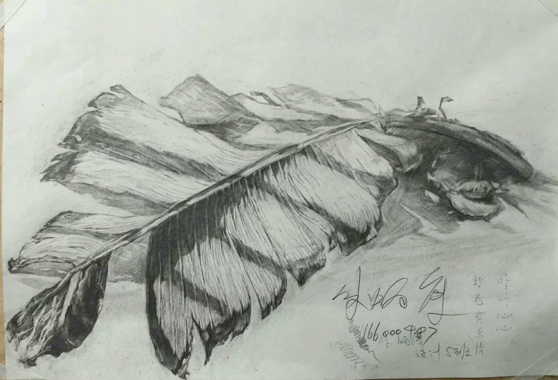 朱氏璧相册6