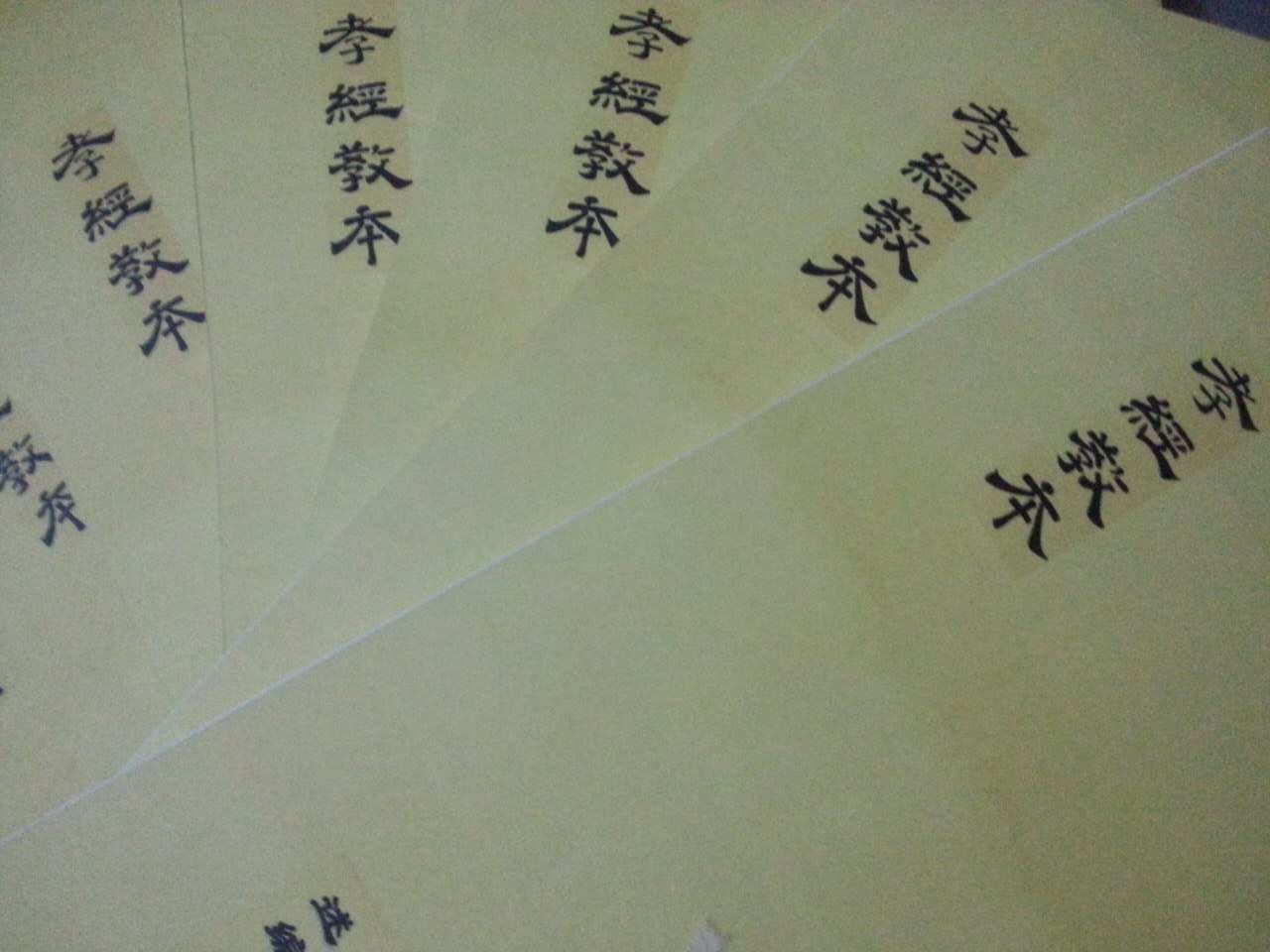 路老师相册2