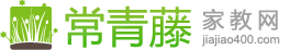 常青藤家教网logo