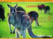 英语（北师大版必修模块4）：Unit 12 lesson4 The New Australians课件