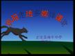 《狼》 课件